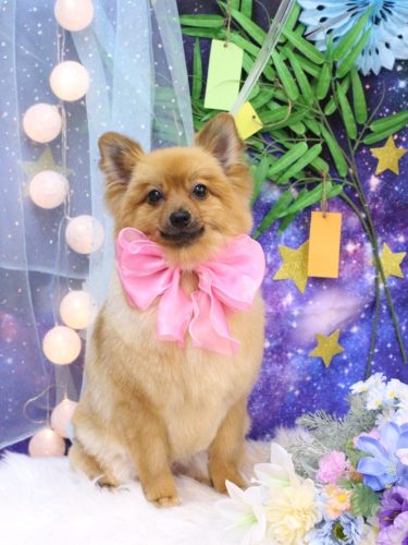 20250704ララちゃん